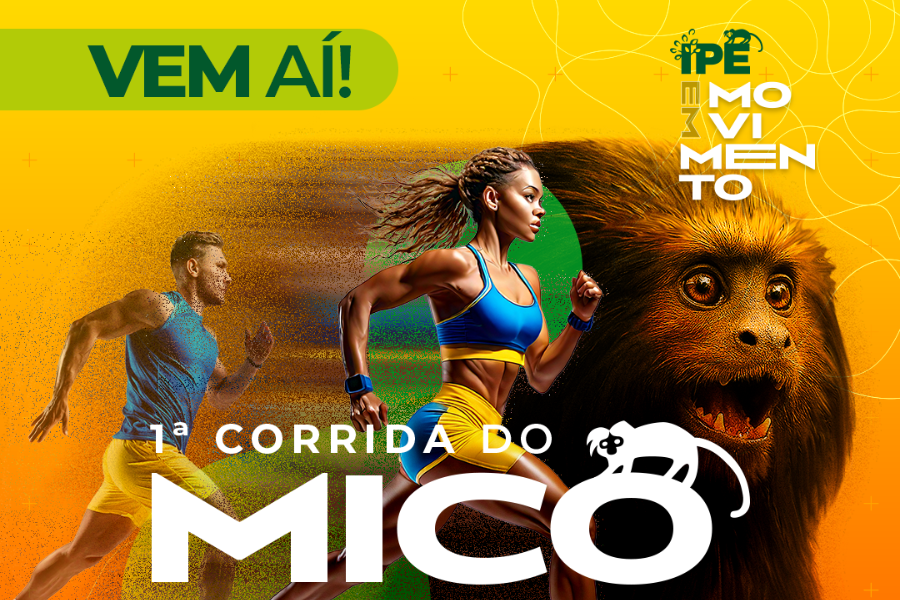1ª CORRIDA DO MICO