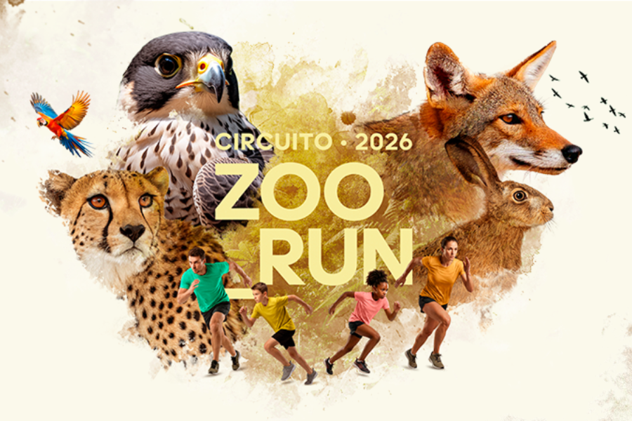 CIRCUITO ZOO RUN ETAPA FALCÃO