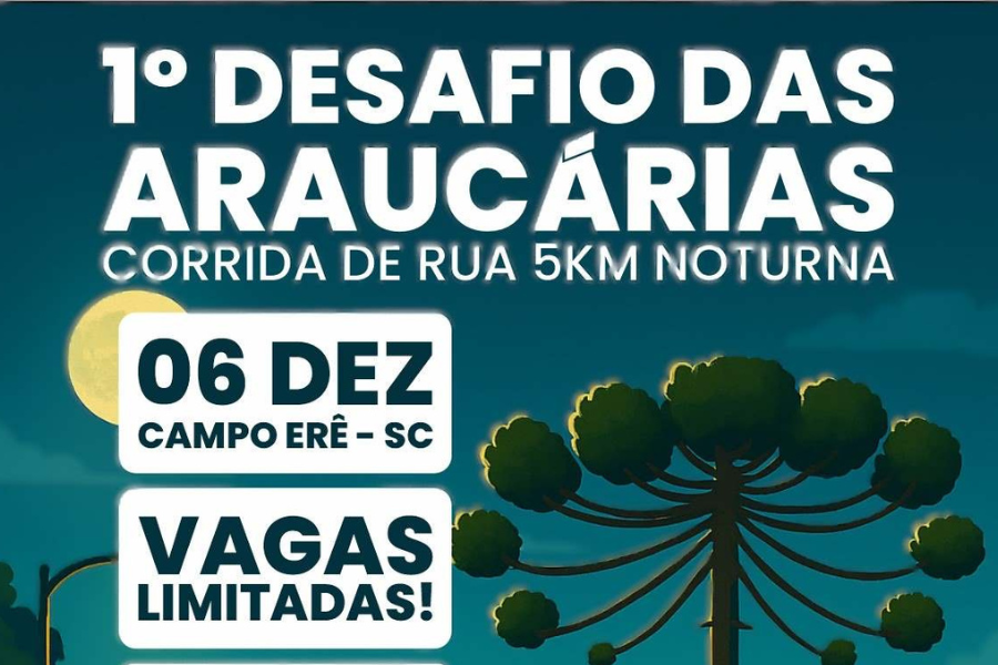 1º DESAFIO DAS ARAUCÁRIAS