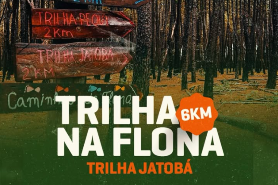 TRILHA JATOBÁ NA FLONA