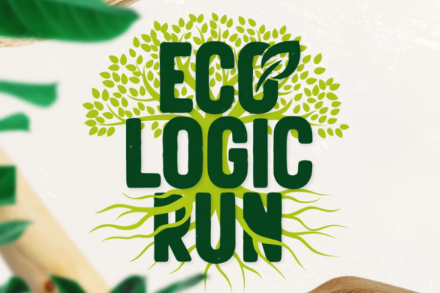  2ª ECOLOGIC RUN ALPHAVILLE