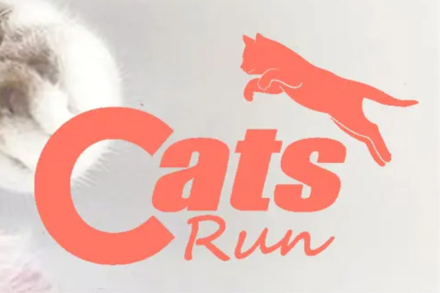 CATS RUN
