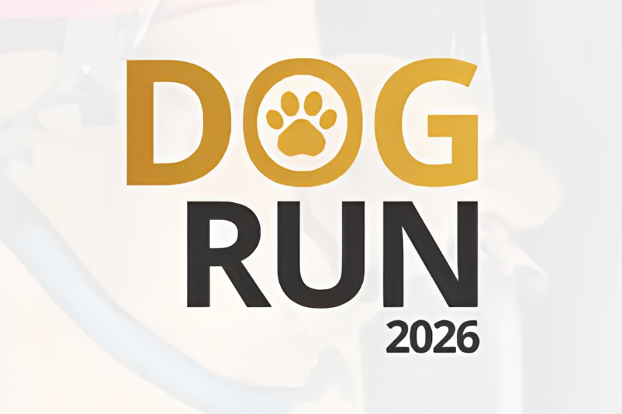 DOG RUN