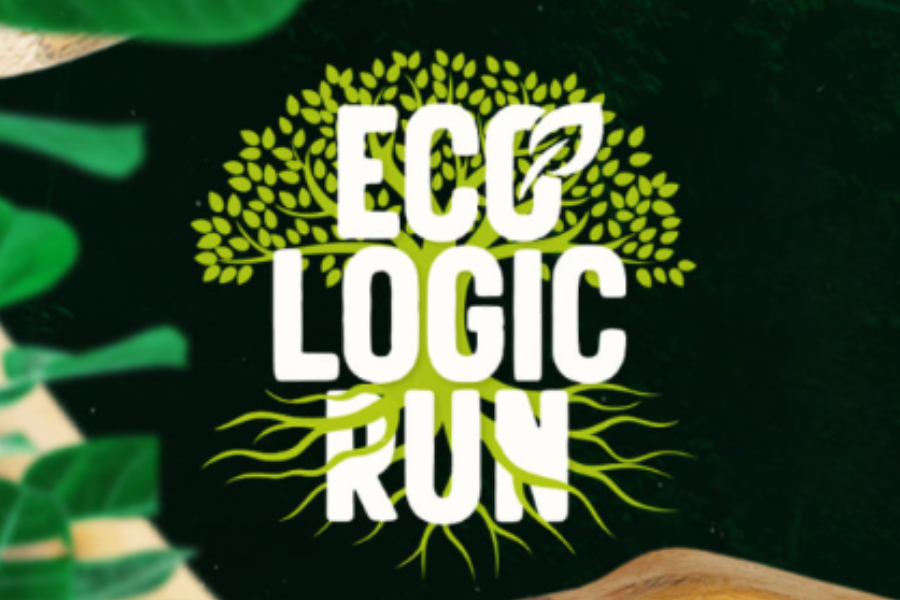 6ª ECOLOGIC RUN SÃO PAULO