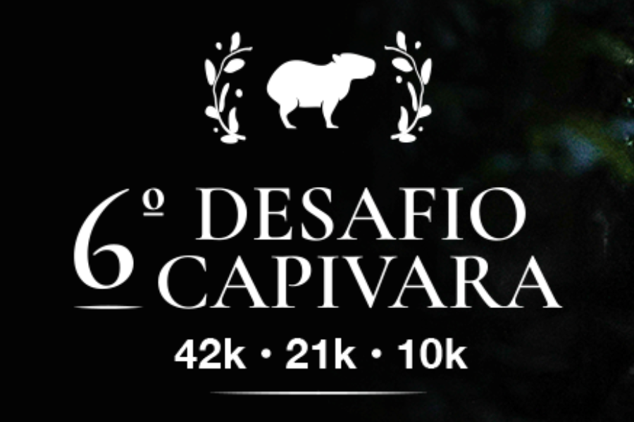 6º DESAFIO CAPIVARA