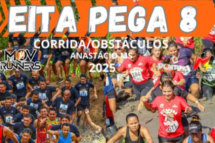 EITA PEGA 8