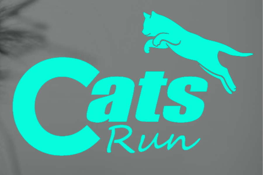 CATS RUN